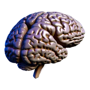 Brain In Virtual Reality Png 04292024 PNG image