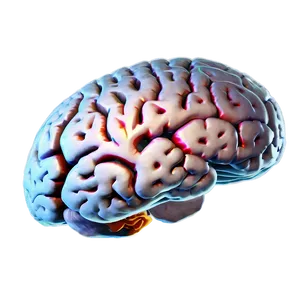 Brain In Virtual Reality Png 34 PNG image