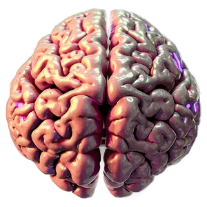 Brain Memory Connections Png 04292024 PNG image