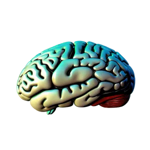 Brain Mind Map Png Mla PNG image