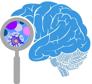 Brain Neuron Zoom Illustration PNG image