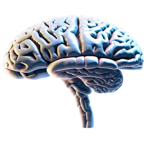 Brain Outline C PNG image