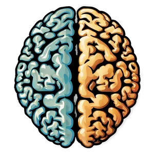 Brain Outline Clipart PNG 1