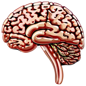 Brain Outline Clipart PNG Hvx