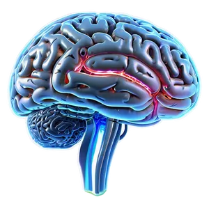 Brain Outline PNG Transparent Pdi