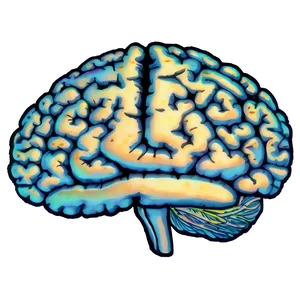 Brain Outline PNG Transparent Rud