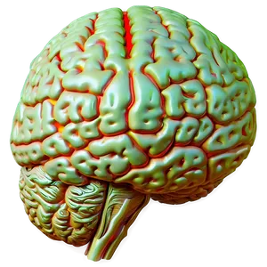 Brain Side View Png Iha PNG image