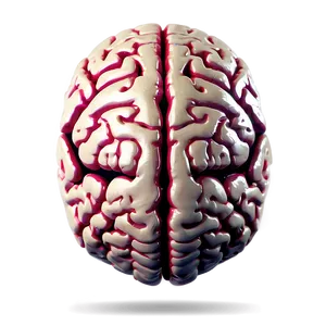 Brain With Arrows Png Nlc25 PNG image