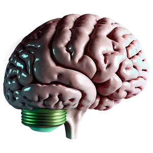 Brain With Light Bulb Png Fpn PNG image