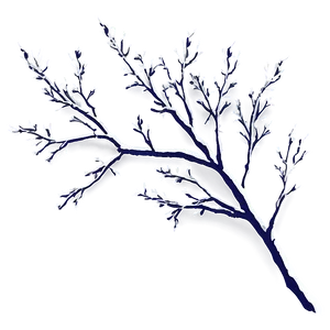 Branches Illustration Png 06272024 PNG image