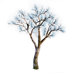 Branches Texture PNG 06272024 PNG
