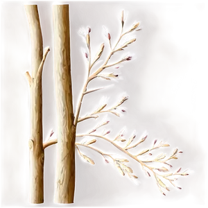 Branches Texture PNG Ddv PNG