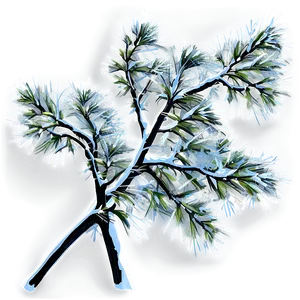 Branches With Snow PNG 06272024 PNG