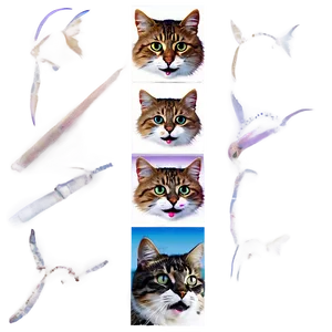 Brave Cat Meme PNG 41