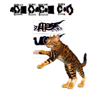 Brave Cat Meme PNG Nwq