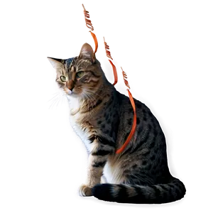 Brave Cat Meme PNG Xdj82
