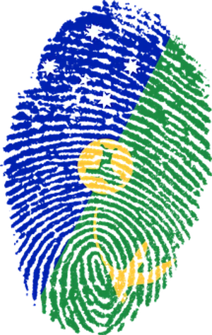Brazilian Flag Fingerprint