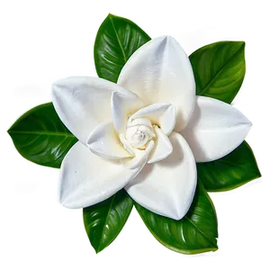 Breathtaking Gardenia PNG 19