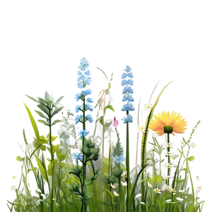 Breezy Wildflower Meadow Png 17 PNG image