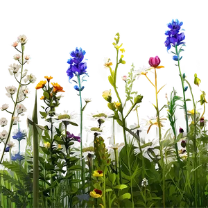 Breezy Wildflower Meadow Png 36 PNG image