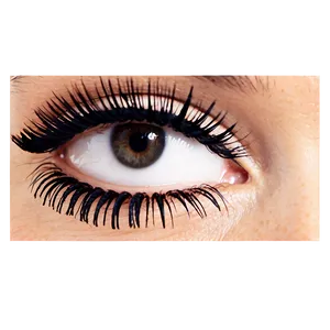 Bridal Fake Eyelashes PNG 06272024