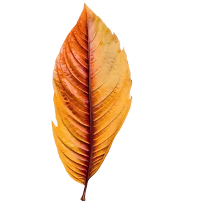 Bright Autumn Leaves Png 05042024 PNG image