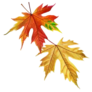 Bright Autumn Leaves Png 05042024 PNG image