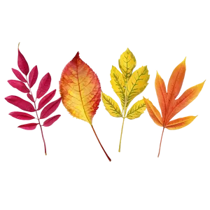 Bright Autumn Leaves Png Vxe PNG image