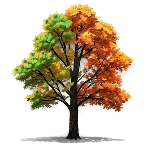 Bright Autumnal Trees PNG 05042024