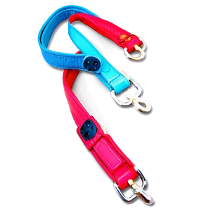 Bright Colored Dog Leash PNG 06132024 PNG
