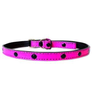 Bright Colored Dog Leash PNG 86 PNG