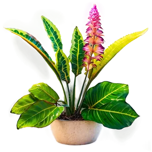 Bright Floor Plant PNG Ahi PNG