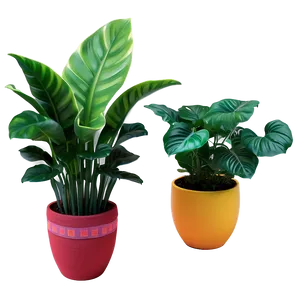 Bright Floor Plant PNG Igv PNG
