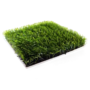 Bright Green Astroturf PNG 04292024