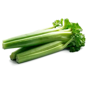 Bright Green Celery PNG Dyf PNG
