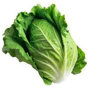 Bright Green Lettuce Png 05242024 PNG image