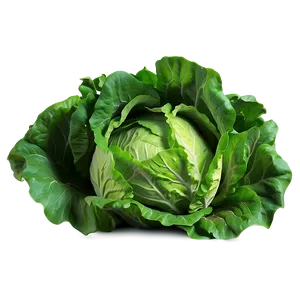 Bright Green Lettuce Png 05242024 PNG image