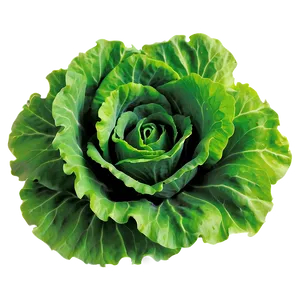 Bright Green Lettuce Png Oge97 PNG image