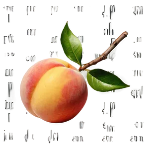 Bright Peach PNG Qqf68
