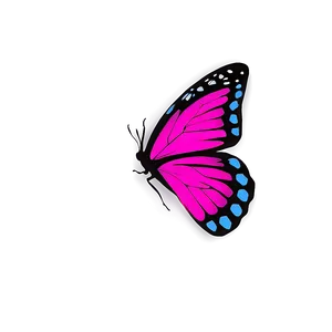 Bright Pink Butterfly PNG 06212024