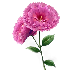 Bright Pink Flower Art Png 18 PNG image