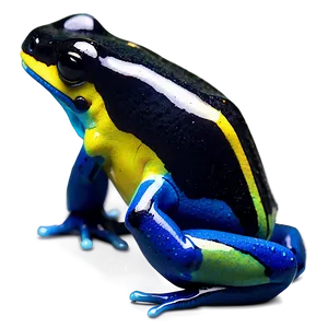 Bright Poison Dart Frog Png 06132024 PNG image