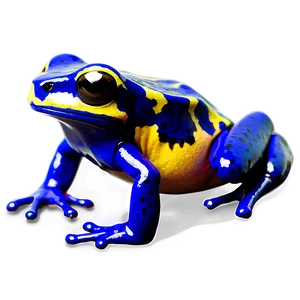 Bright Poison Dart Frog Png 51 PNG image