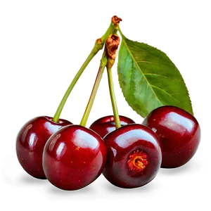 Bright Red Cherries Png 97 PNG image