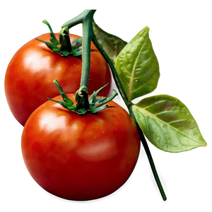 Bright Red Tomato PNG 05062024