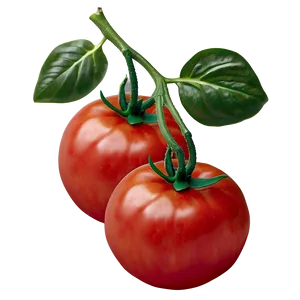 Bright Red Tomato PNG 69