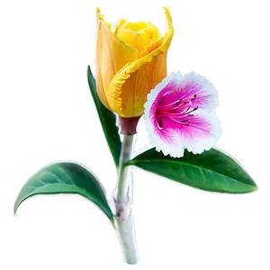 Bright Spring Flower PNG 27 PNG
