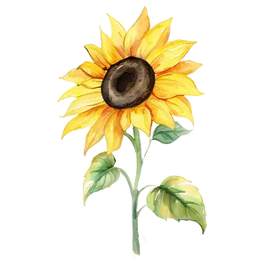 Bright Sunflower Watercolor Painting Png 06272024 PNG image