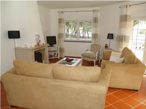 Bright Sunlit Living Room PNG image