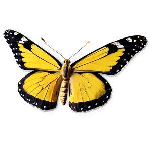 Bright Yellow Butterfly PNG 06292024